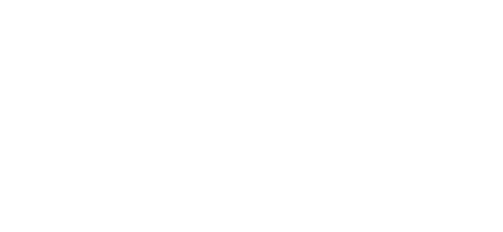 Festival dello Spazio