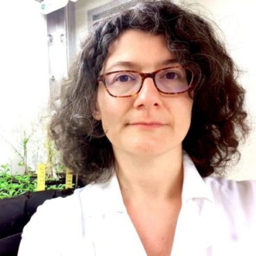 Marta Del Bianco